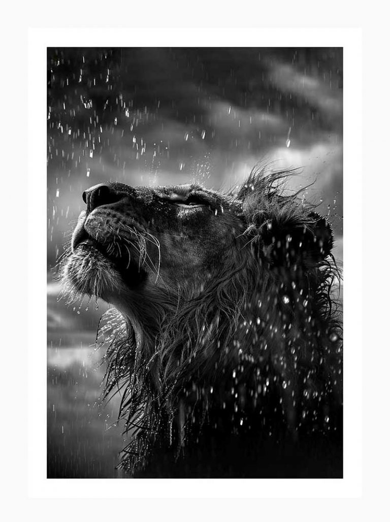 Raindrops and Majesty