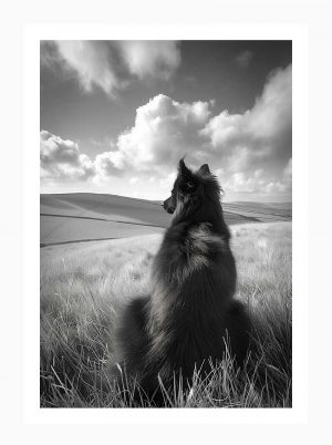 Silhouette of Solitude