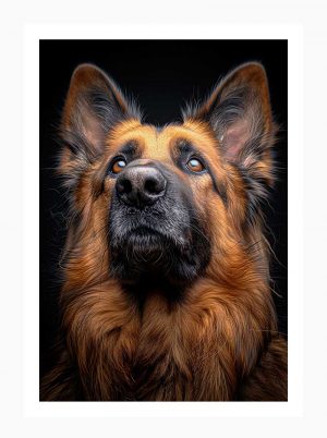 German Sheppard#004