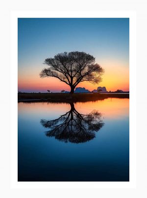 Stillness at Sunrise