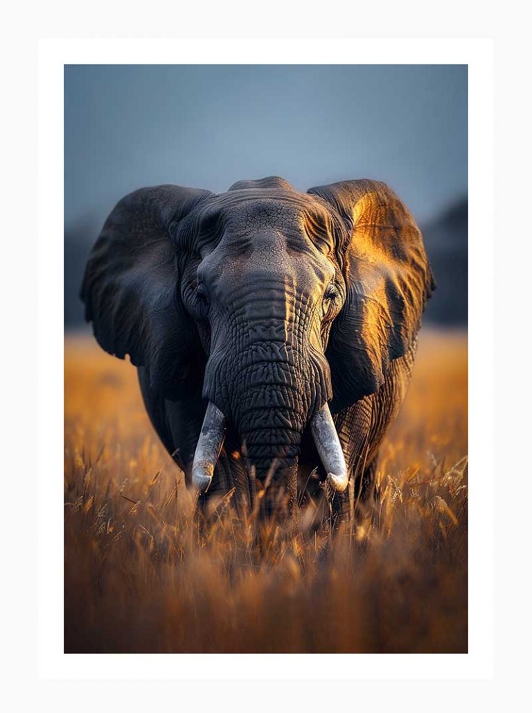 Guardian of the Plains