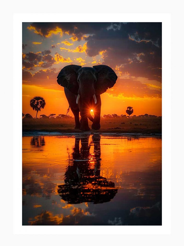 Serenity of the Savannah