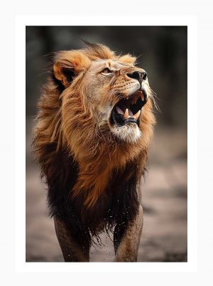 Voice of the Savannah