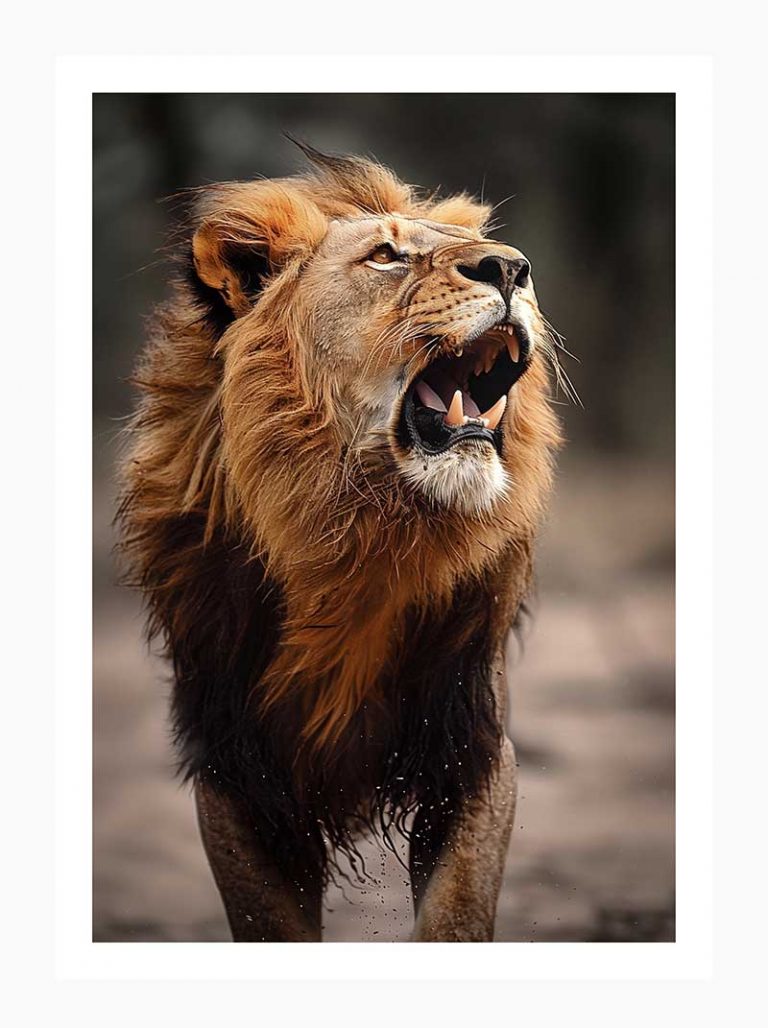 Voice of the Savannah