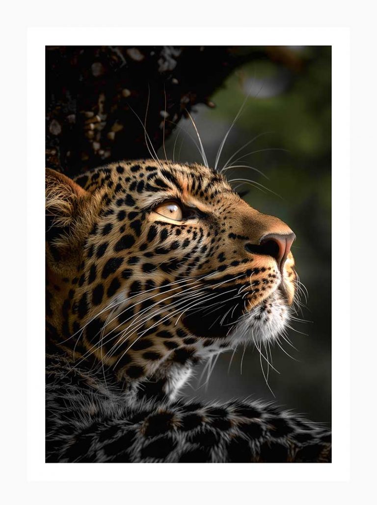 The Watchful Leopard