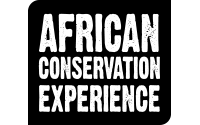 African_Conservation_Experience